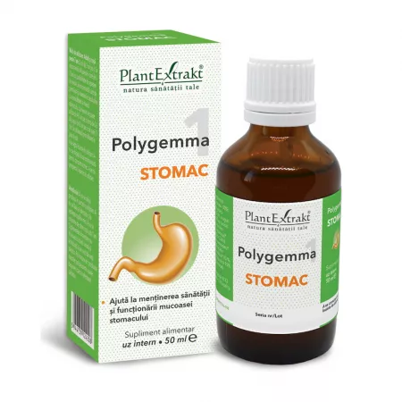 Polygemma 1 Stomac
