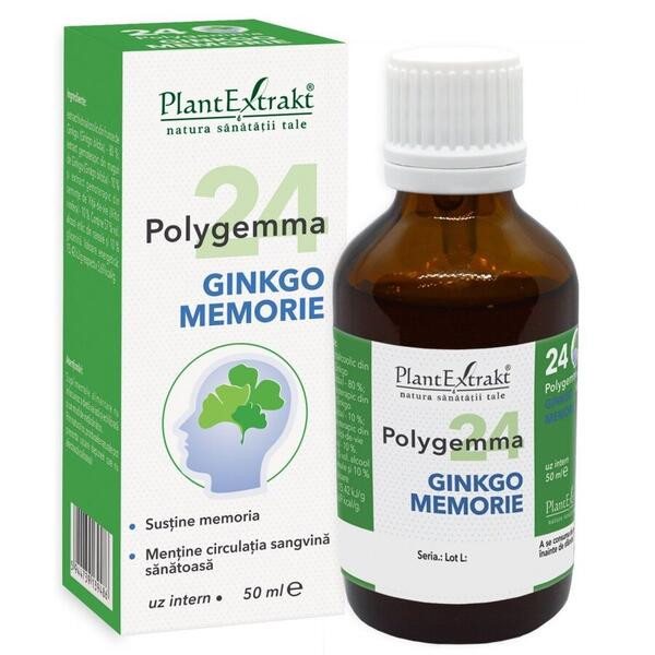 Polygemma 24 - GINKGO MEMORIE